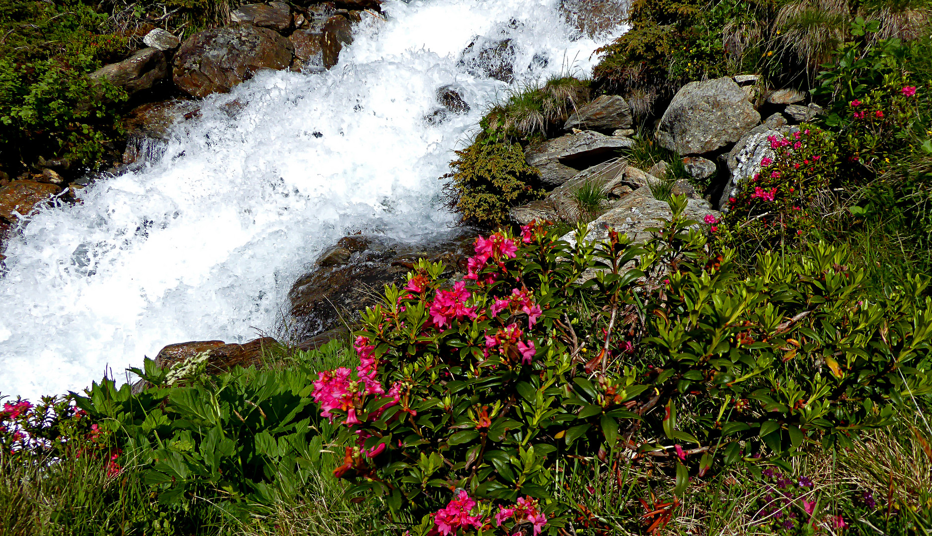 Am Wildbach