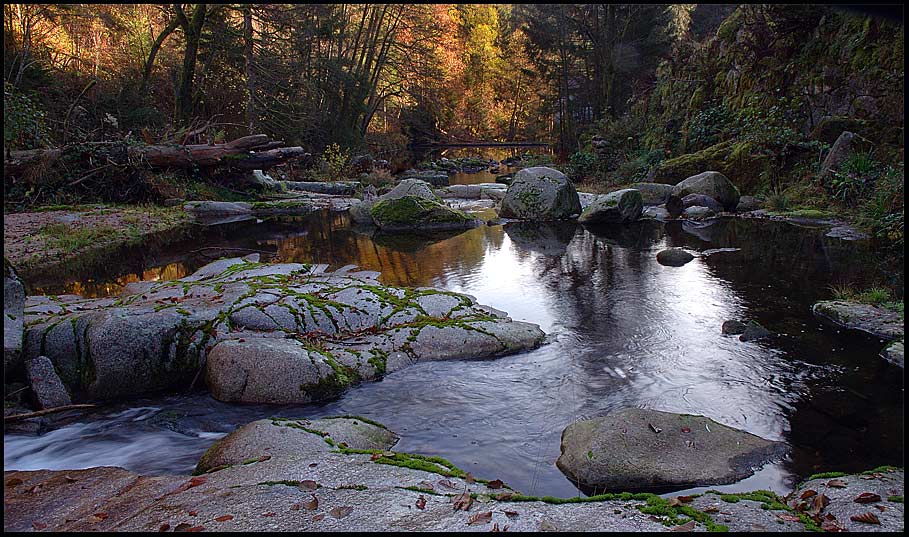 am wildbach....