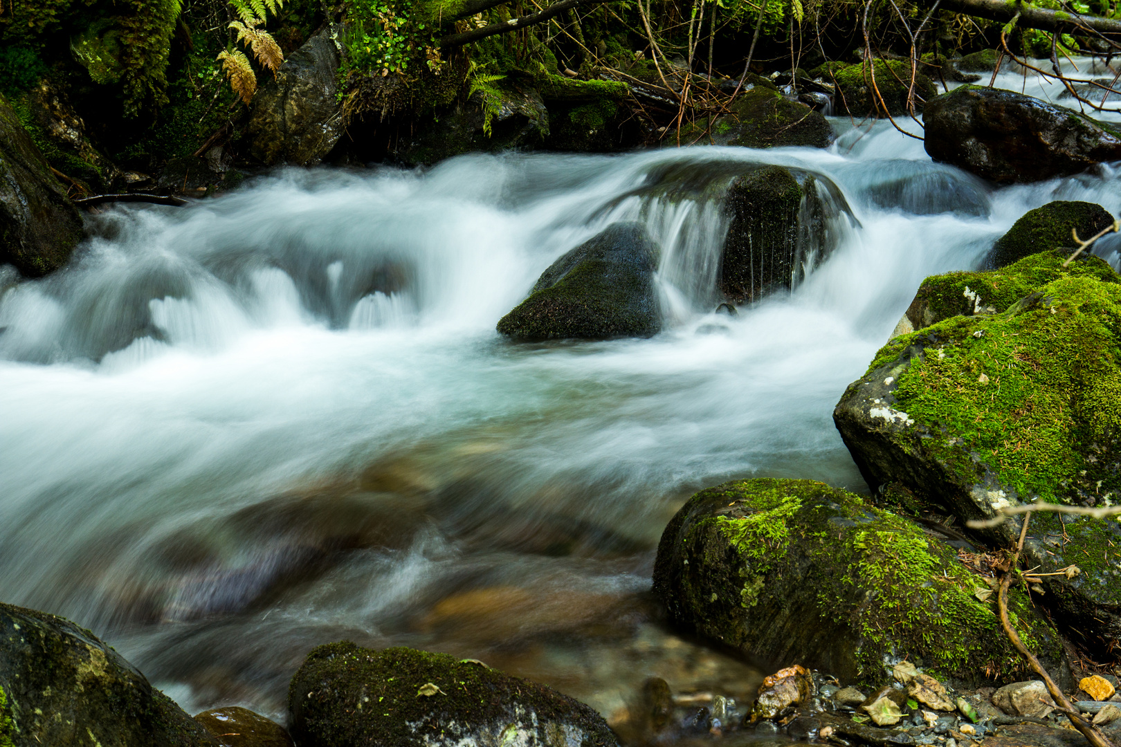 ...am Wildbach