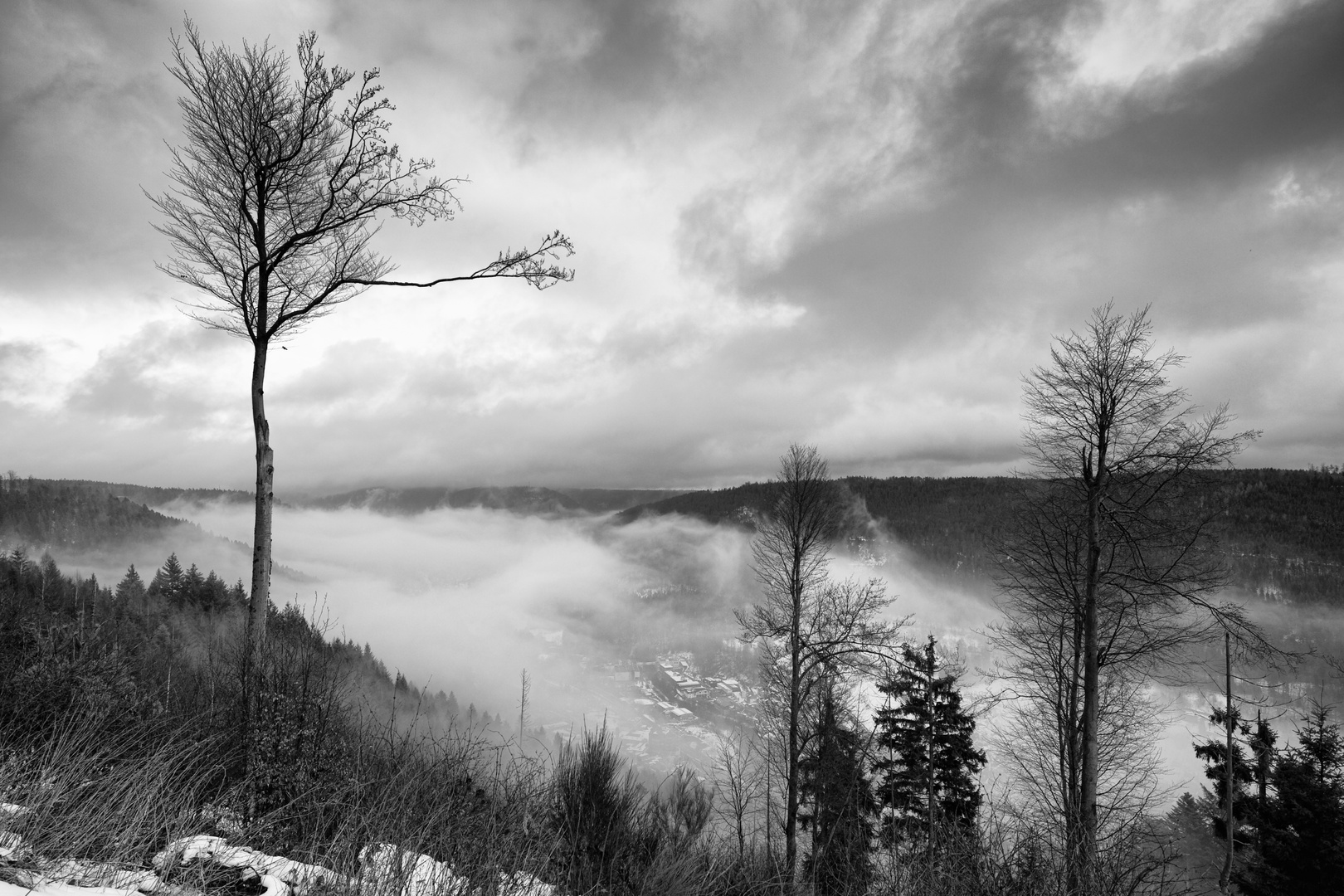 Am Wildbader Kopf