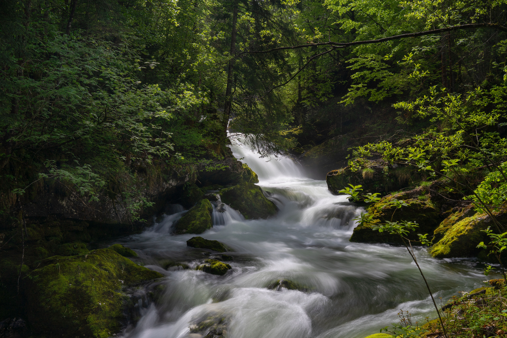 Am "Wilden Fluß" Foto & Bild outdoor, natur, österreich Bilder auf