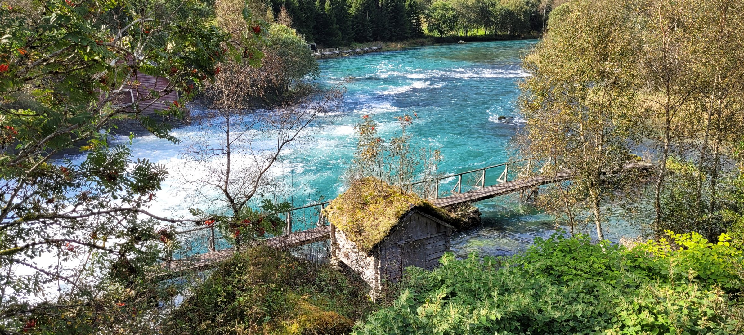 Am wilden Fluss