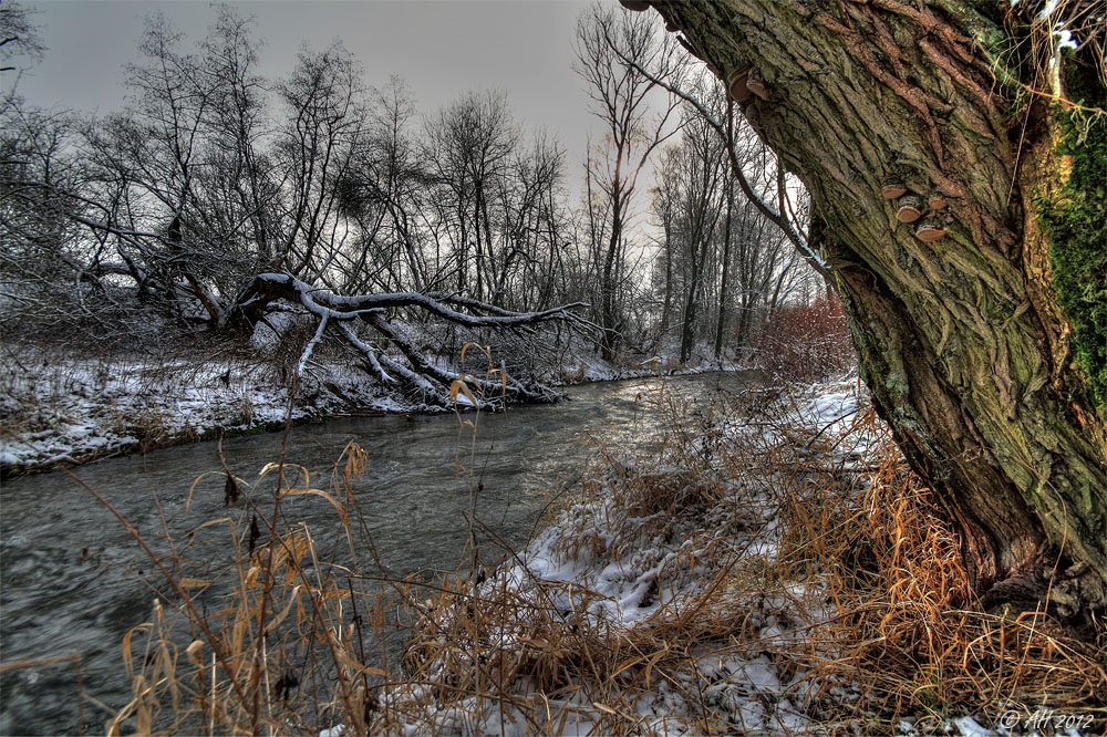 Am wilden Fluss ;-)