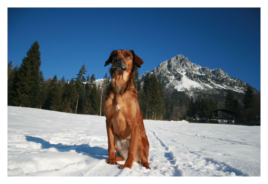 am Wilden Kaiser