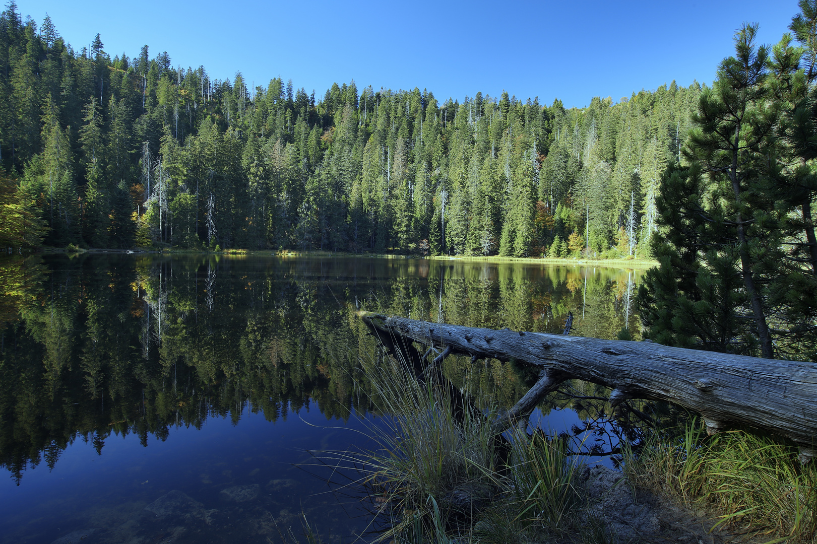 Am wilden See Foto & Bild landschaft, bach, fluss & see, outdoor