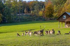 Am Wildpark 