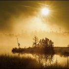 Am Wildsee