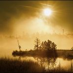 Am Wildsee