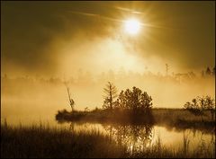 Am Wildsee