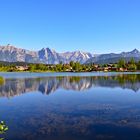 Am Wildsee 