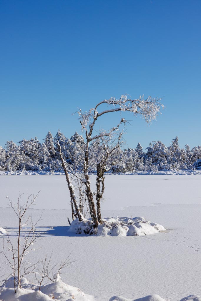 Am Wildseemoor