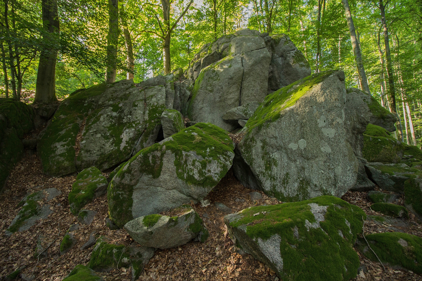 Am Wildweibchenstein