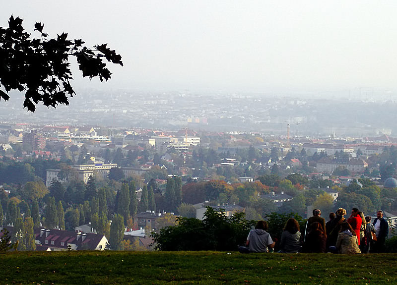 Am Wilhelminenberg...