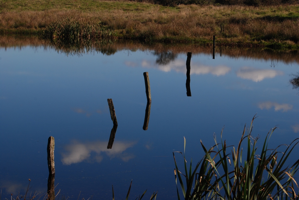 Am Winderatter See