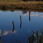 Am Winderatter See