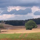 Am Windmühlenberg