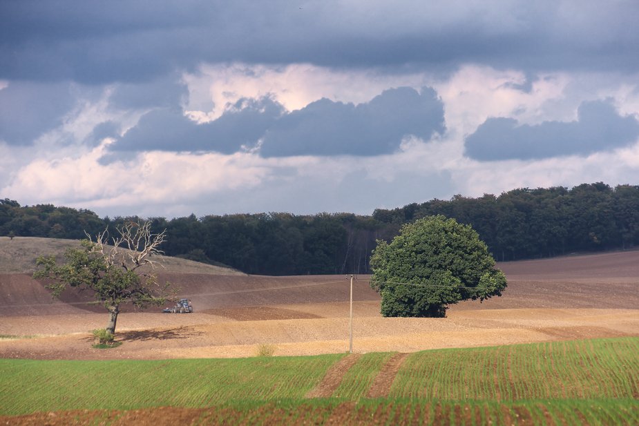 Am Windmühlenberg