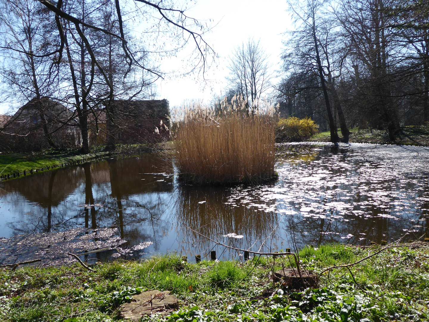 Am Winkelteich in Wiesenburg