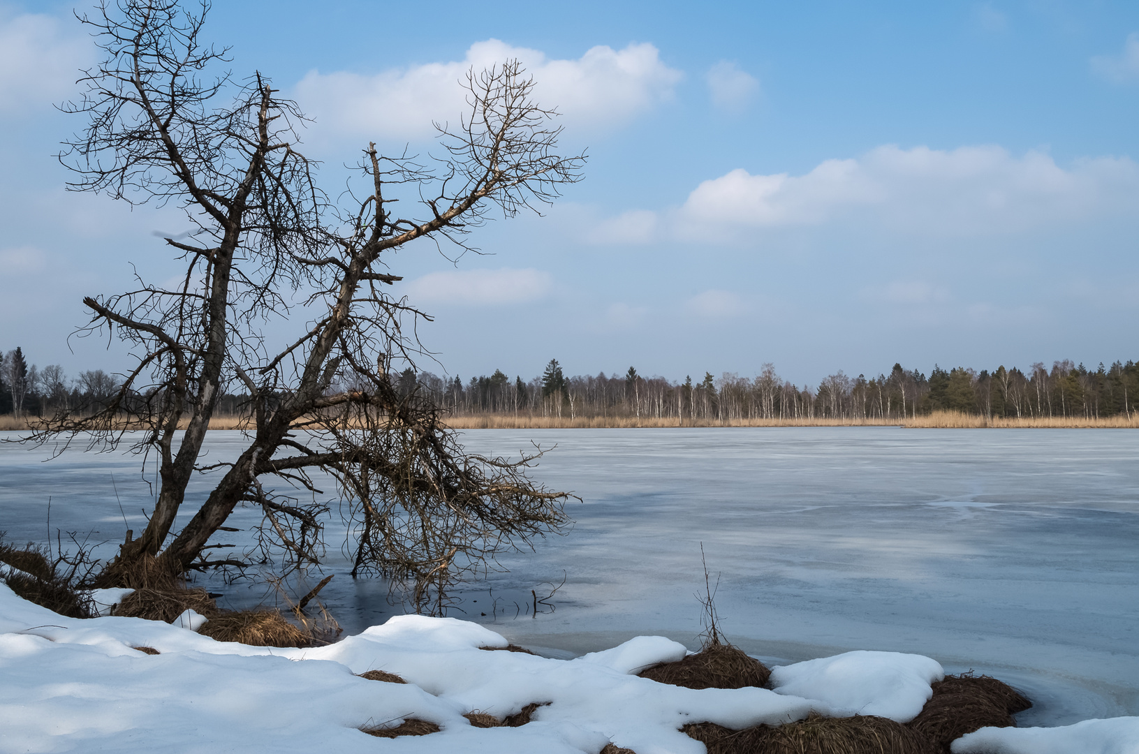 Am Winterende