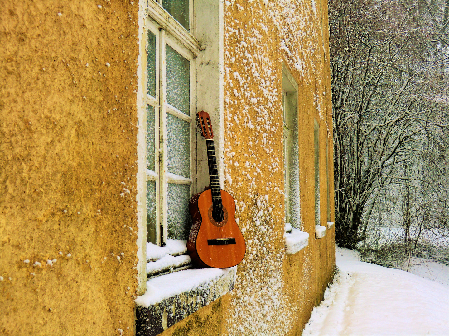 Am Winterfenster