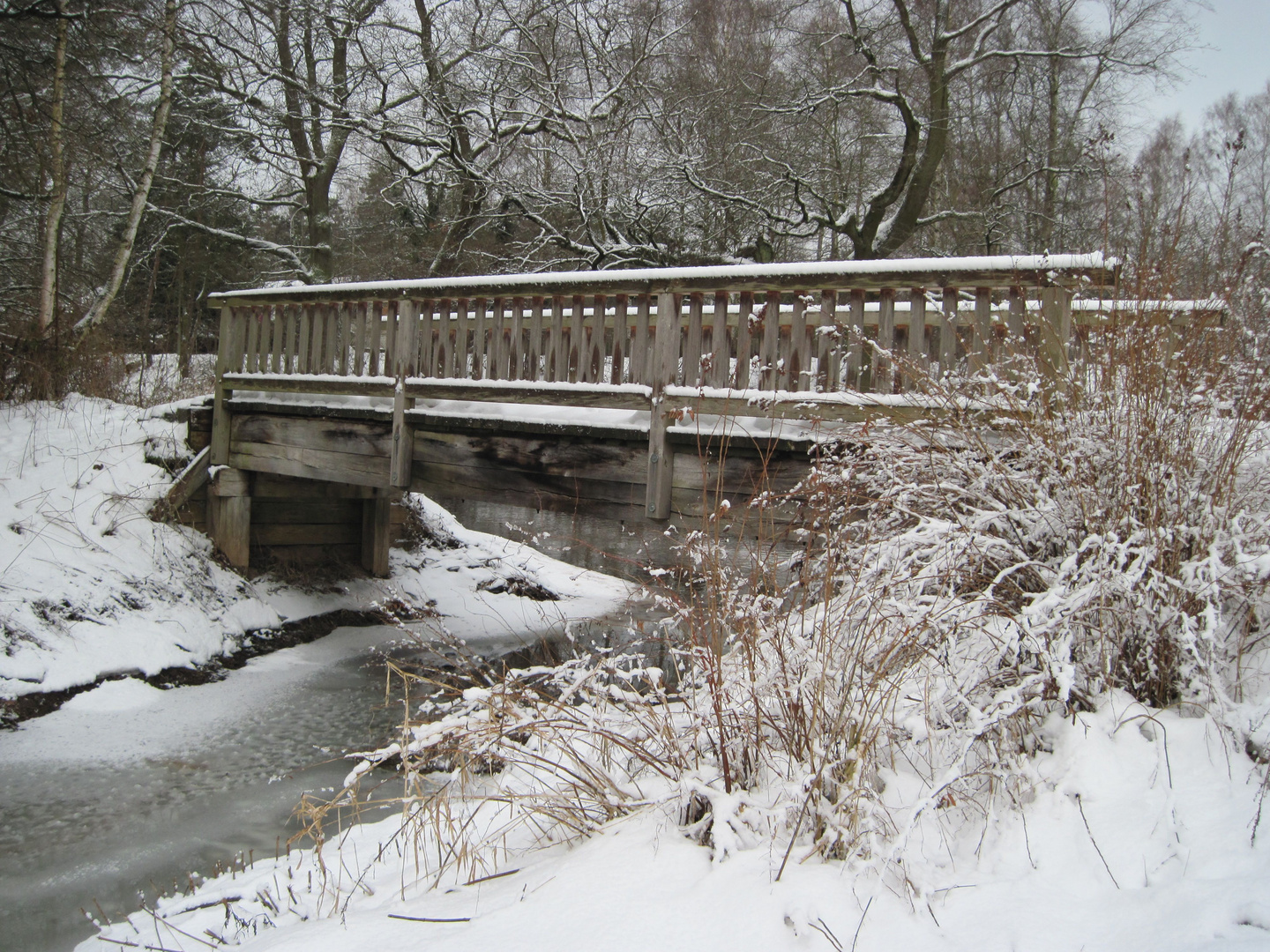 Am winterlichen Allerkanal