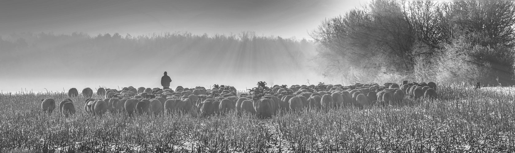 Am winterlichen Morgen