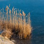 Am winterlichen Teich