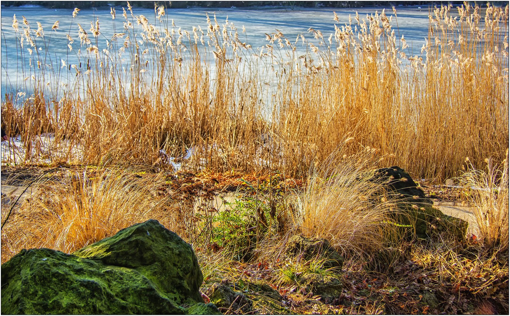 Am winterlichen Ufer