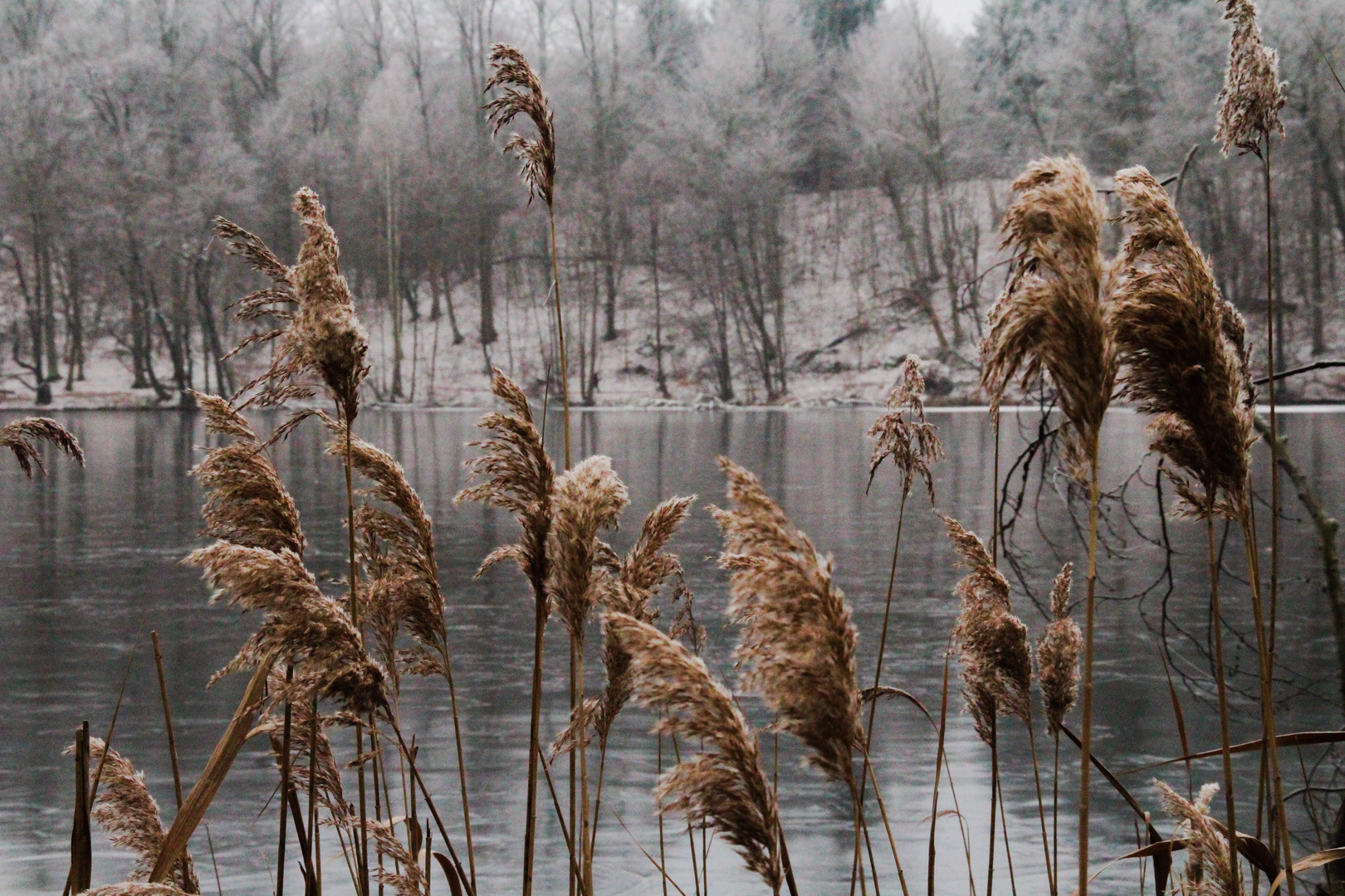 Am Wintersee II