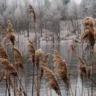 Am Wintersee II