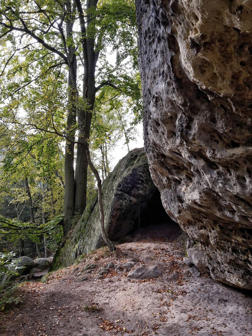 am Winterstein (Sächs. Schweiz)