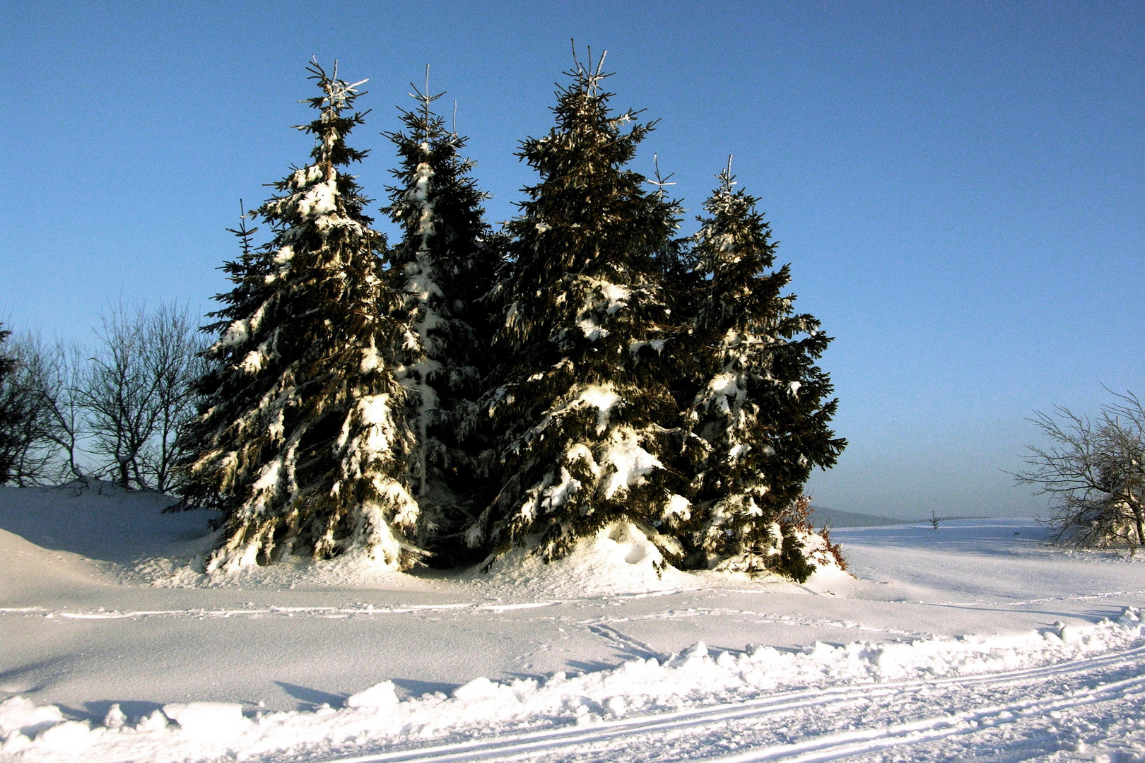 Am Winterwanderweg auf dem Schauinsland.