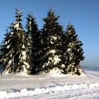 Am Winterwanderweg auf dem Schauinsland.