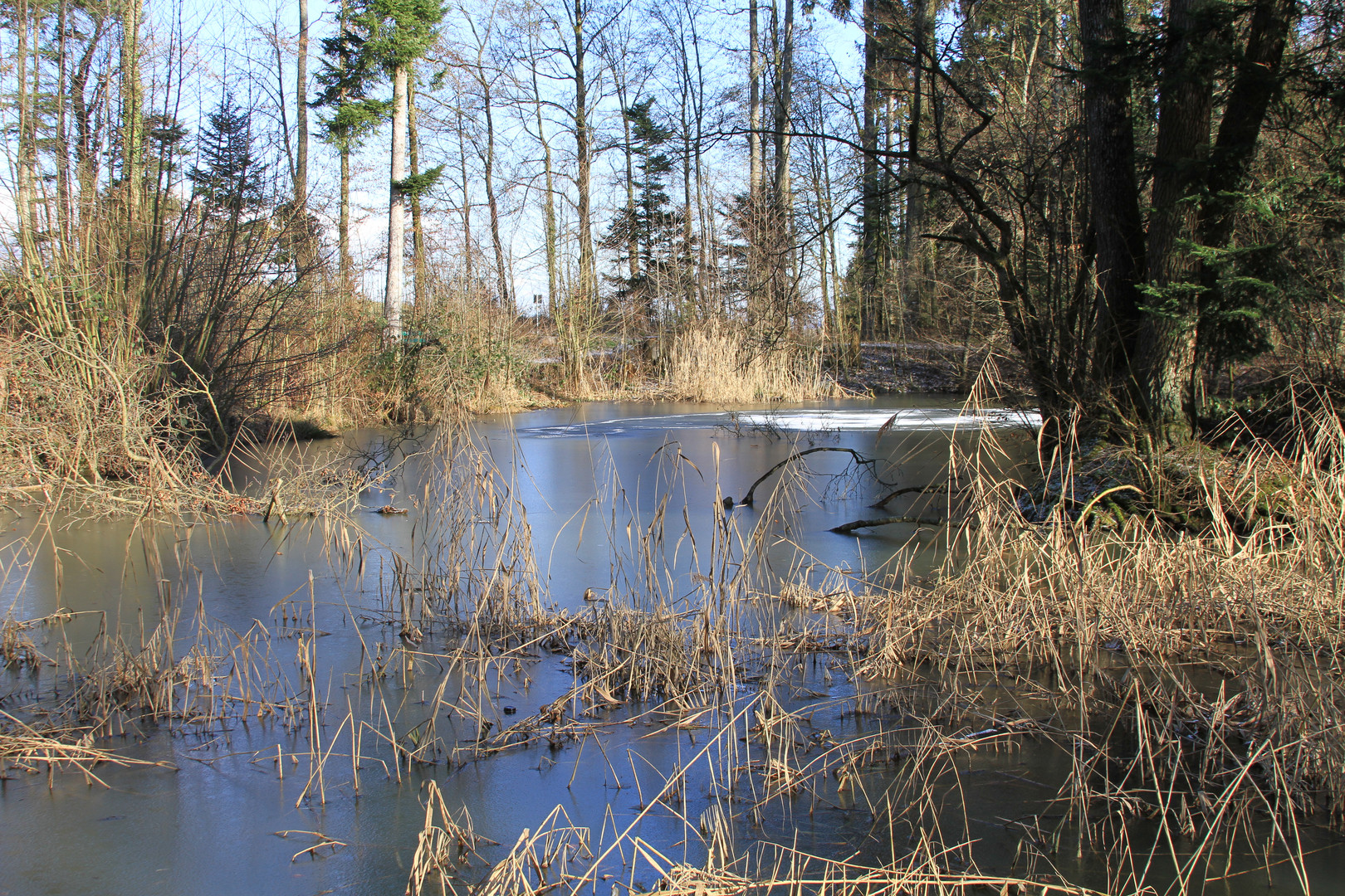 Am Wirtzen Weiher im Winter