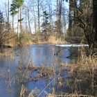 Am Wirtzen Weiher im Winter