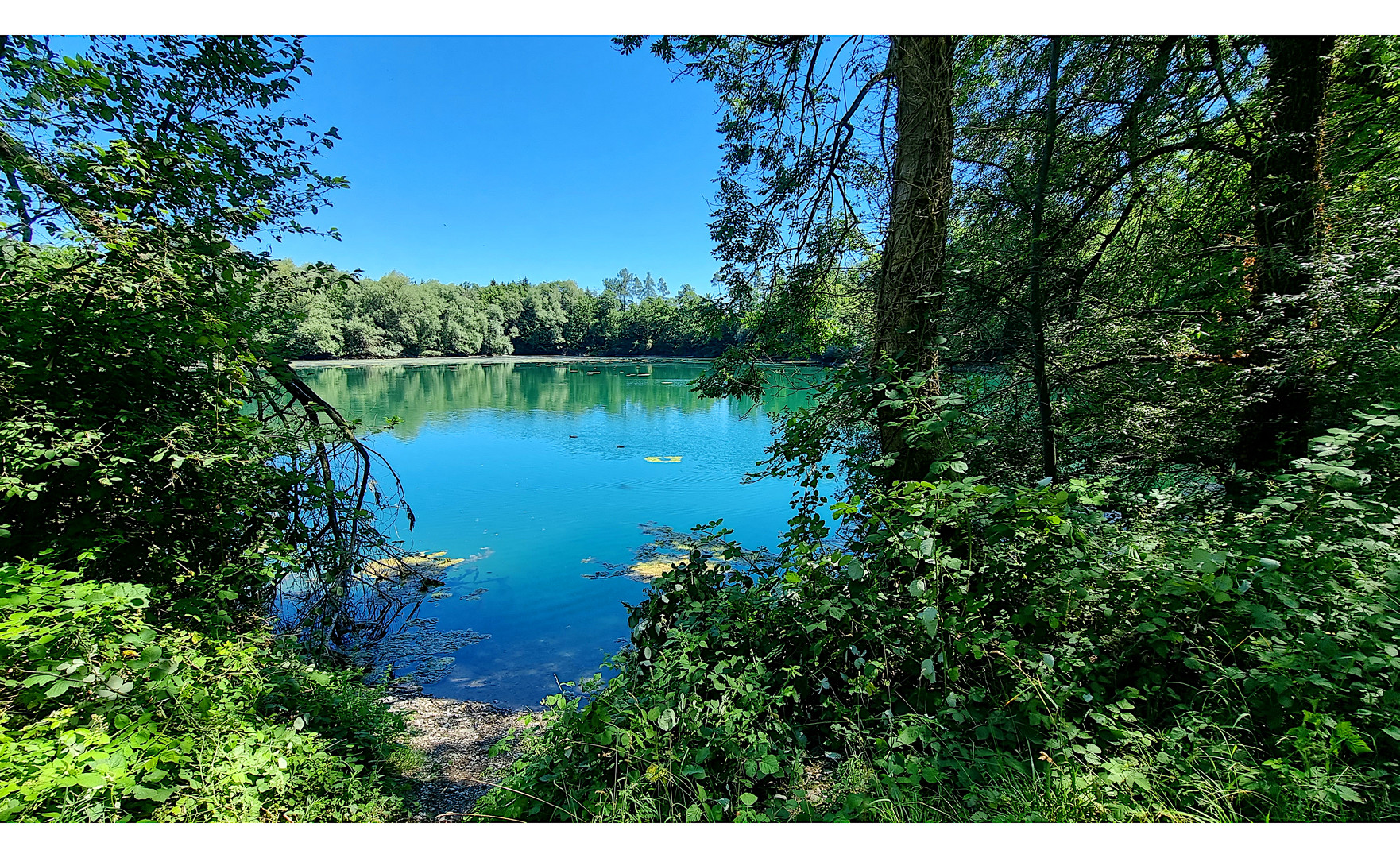 Am Wisterenweiher, V