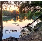 Am Wisterenweiher, VI