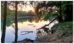 Am Wisterenweiher, VI