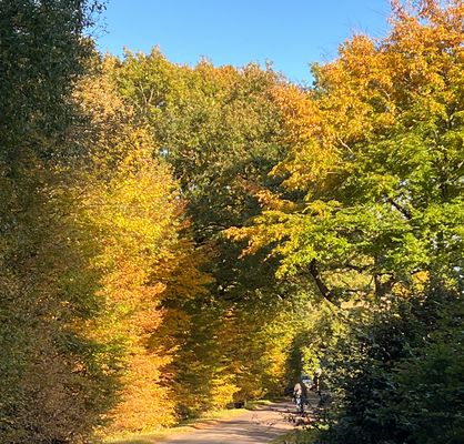 am Wochenende 18./19.10.2025 noch vor dem Sturm und Regen