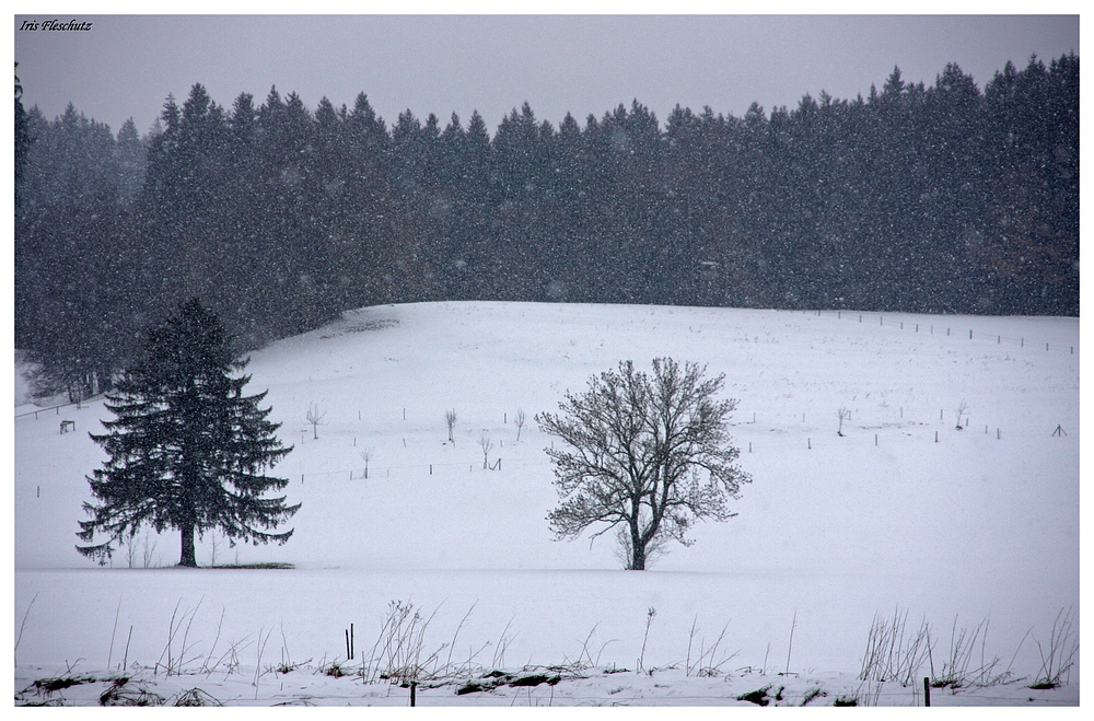 Am Wochenende...