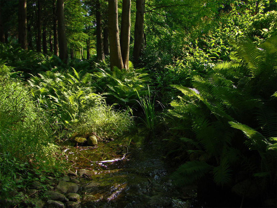 Am Wochenende - Geesthachter Wald