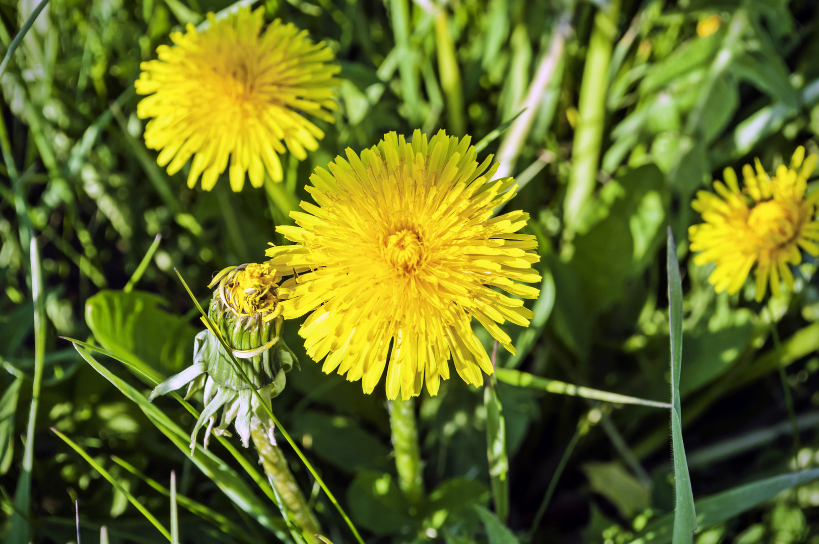 Am Wochenende soll die Sonne scheinen