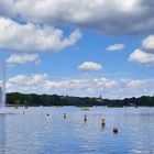 am Wöhrder See in Nürnberg