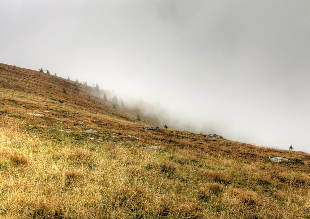 Am Wöllaner Nock im Herbst