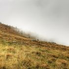 Am Wöllaner Nock im Herbst