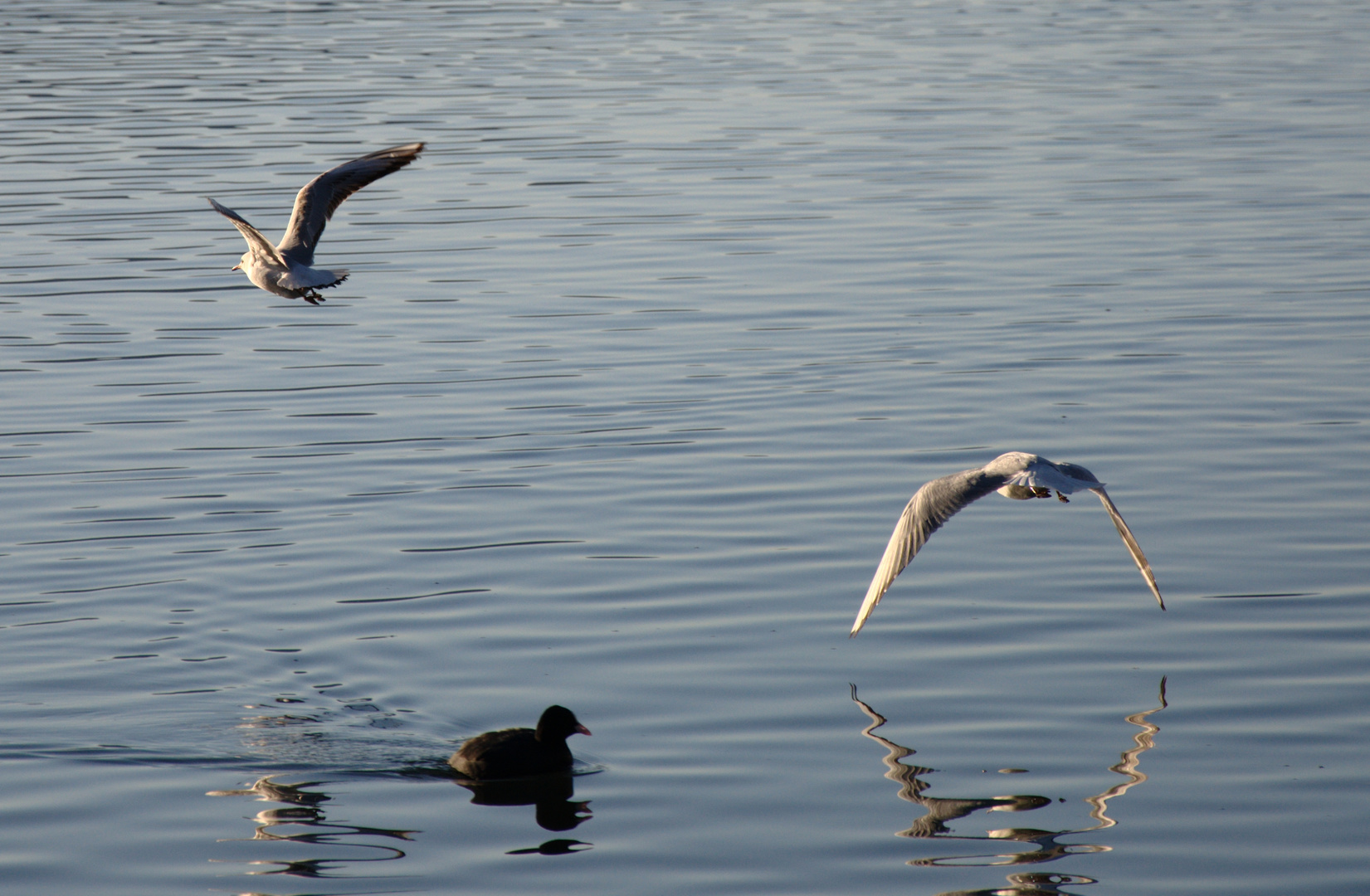 Am Wörthersee