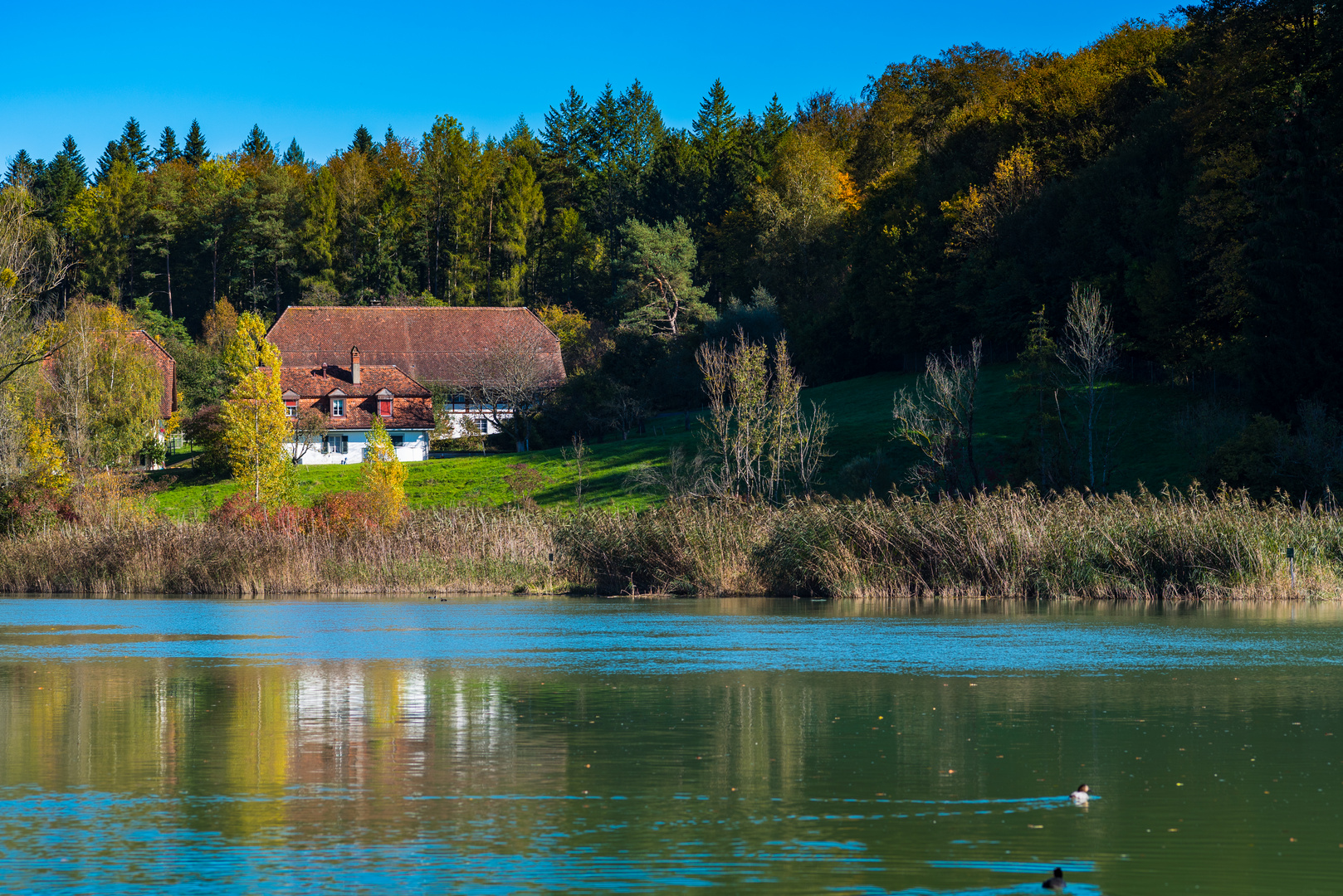 Am Wohlensee