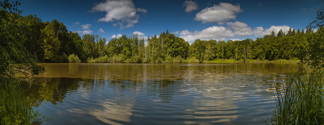 Am Wolfsee