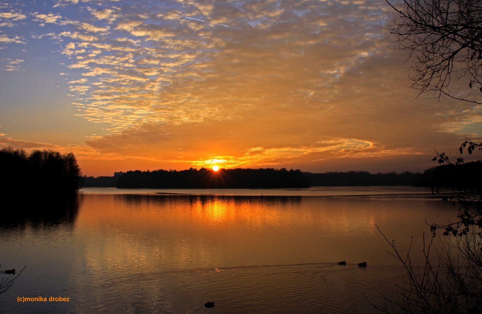 ...am Wolfssee...