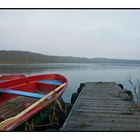 Am Wolgastsee, im November.